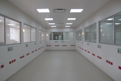 Hospital-Gineco-Obstetrico-Alfredo-G-1-1024x768